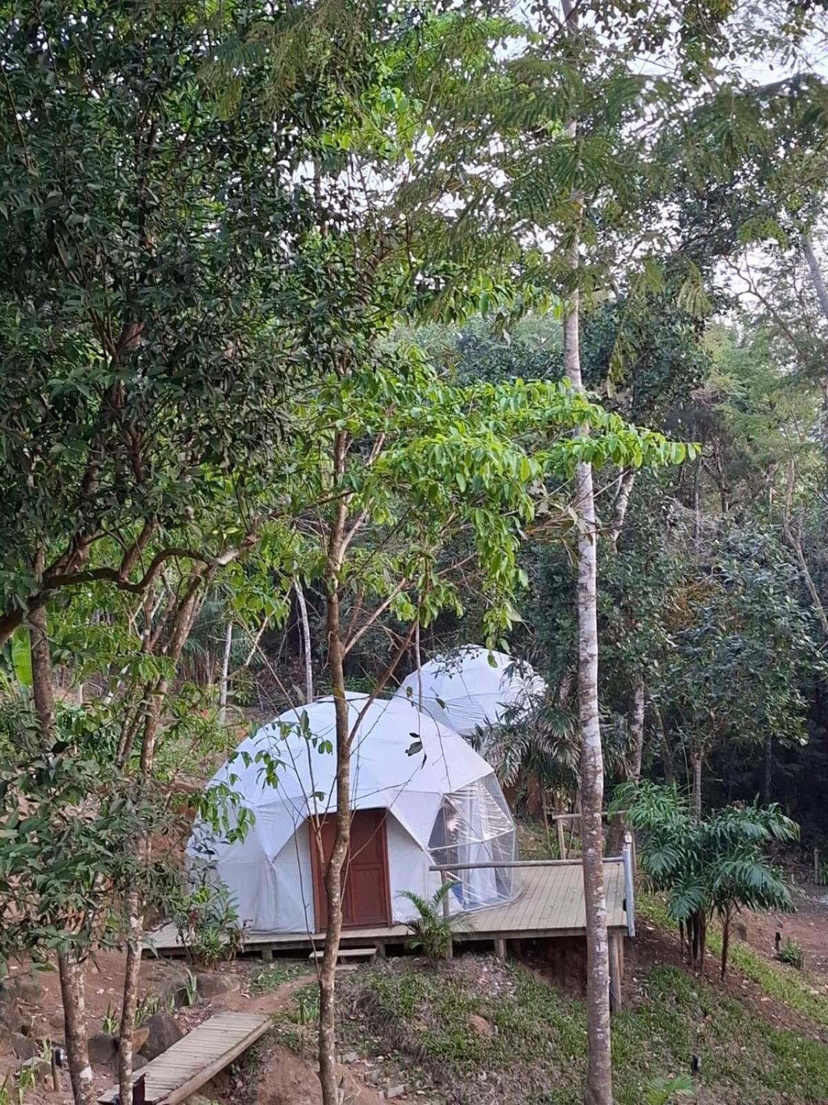 Glamping Sitio Das Tartarugas Angra dos Reis Eksteriør bilde